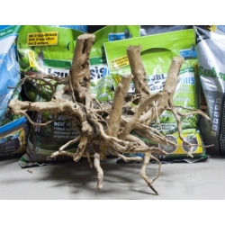 Korzeń RED ROOT MOOR - korzeń z wrzosowiska 026 52cmx43cmx49cm