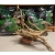 Korzeń RED ROOT MOOR - korzeń z wrzosowiska 035 44cmx41cmx52cm