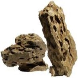 Kamienie Dragon Stone