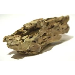 Kamienie Dragon Stone