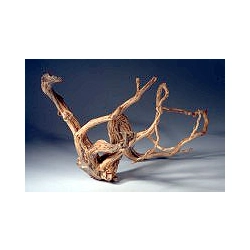 KORZEŃ Red Root Moor