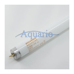 15W Świetlówka T8 Sylvania Aquastar 10000k 44cm