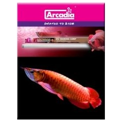 Arcadia Arowana UV Tanning T-8 30W