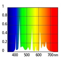Arcadia Plant Pro 24W - świetlówka T5 55cm