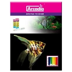 Arcadia Żarnik 5200K 150W