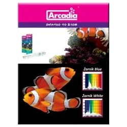 Arcadia Żarnik Marine Blue 250W - 20,000K