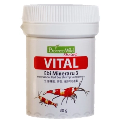 BWS Vital – suplement pokarmowy 30g