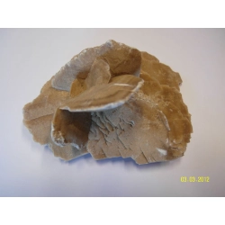 Kamień dekoracyjny Róża pustyni