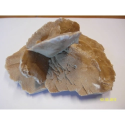 Kamień dekoracyjny Róża pustyni