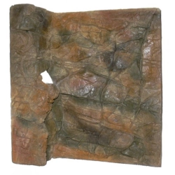 Tło płaskie 30x35 Nano