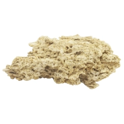 Filtus Wapień Muszlowy 1kg - kamień dekoracyjny do akwarium