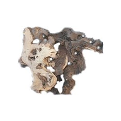 MHK Korzeń dekoracyjny Mopani  S