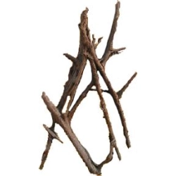 MHK Korzeń dekoracyjny Drift Wood 10-18cm “SSS”