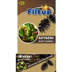 Filtus Szyszki olchy czarnej