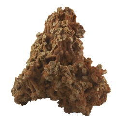 Filtus Wapień Rafowy 1kg - kamień dekoracyjny do akwarium