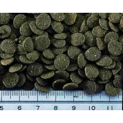 Hikari Sinking Wafers 25g - pokarm dla ryb dennych, sumów, kirysów