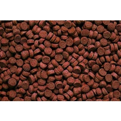 Hikari Sinking Carnivore Pellets 74g - tonące pastylki dla ryb mięsożernych