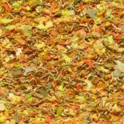 JBL Gala 100ml - podstawowy pokarm klasy Premium w płatkach