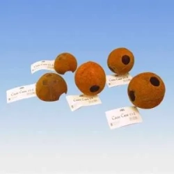 JBL Cocos Cava 1/1L - jaskinie z łupiny orzecha kokosowego