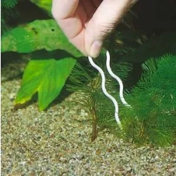 JBL Plantis - 12 uchwytów do bezpiecznego mocowania roślin w podłożu