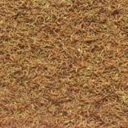 JBL NovoFil 100ml - larwy czerwonego komara, suszone próżniowo