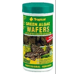Tropical GREEN ALGAE WAFERS 250ml/113g - wafelki z zawartością glonów