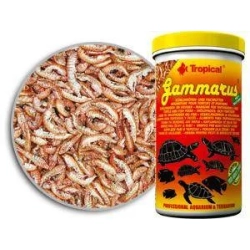 Tropical GAMMARUS 150ml/15g - suszony kiełż zdrojowy dla żółwi wodnych i lądowych oraz dużych ryb