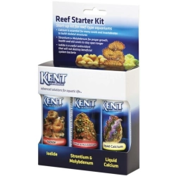 Kent Reef Starter Kit Kent Reef Starter Kit