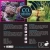 D-D CO2 System for Saltwater Aquariums - sytem nawożenia CO2 do akwarium morskiego